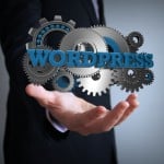 Optimizar WordPress