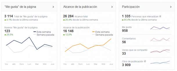 Resumen visión general Facebook Insights Socialancer