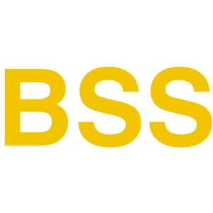 BSS-ROI-Social-Media