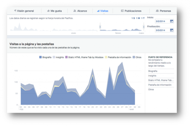 Facebook Insights Socialancer