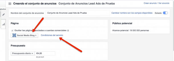 Lead Ads Paso 3 e1449642793465 Facebook Lead Ads: Guía Completa para conseguir Leads de forma inmediata con Publicidad