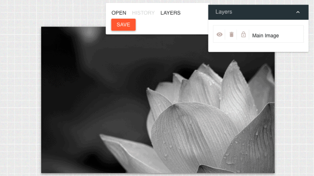 filtro para fotos escala de grises