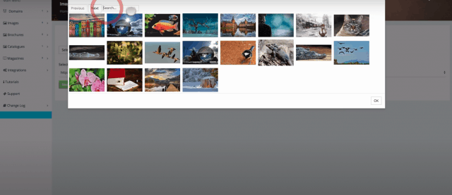 filtros para fotos 3