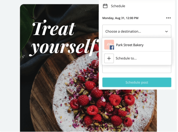 canva pro 7