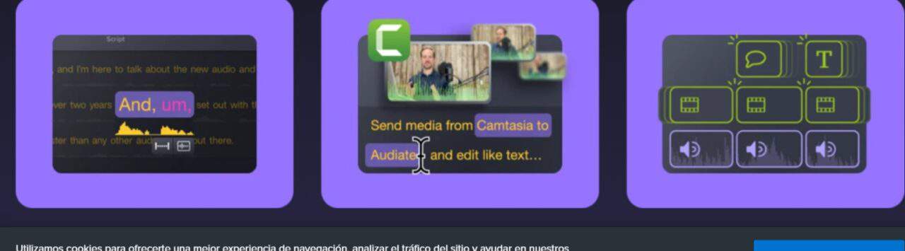 camtasia auditae