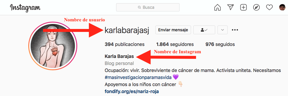 nombre de usuario ig